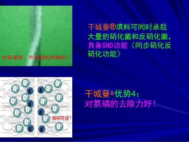 微生物填料