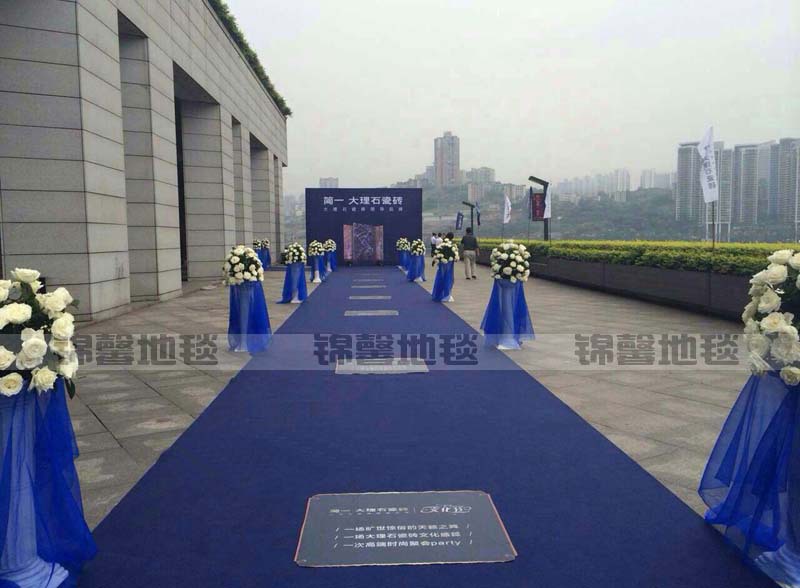 深蓝色地毯效果图a