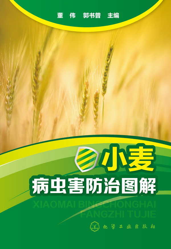 小麦颖枯病 防治图解