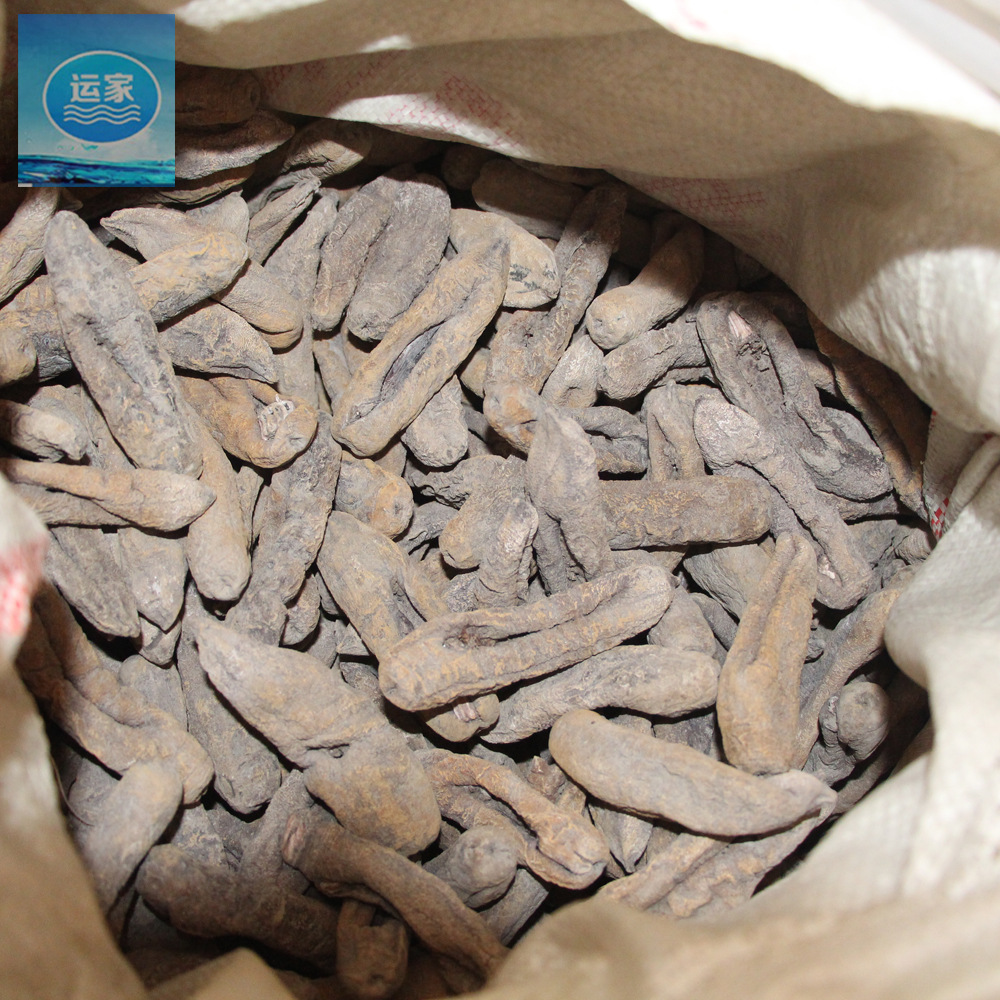 海茄子参海地瓜参批发 无泥中号茄子参 黄皮参淡干23头 肚子干净