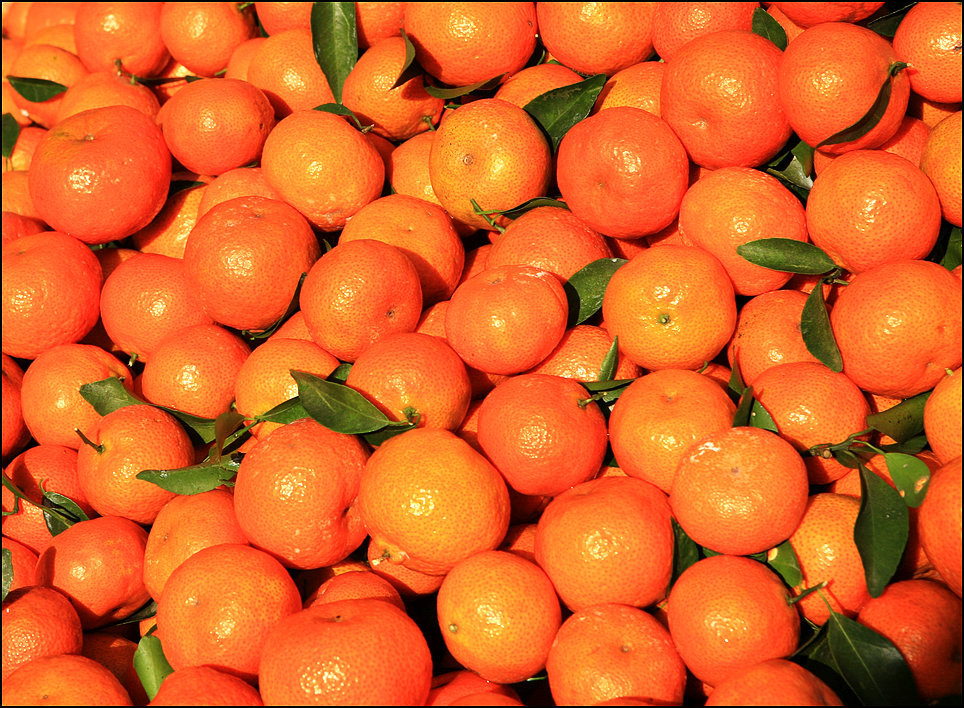 国产新鲜水果桔子 江西特产赣南蜜桔 国产柑橘类水果桔子批发