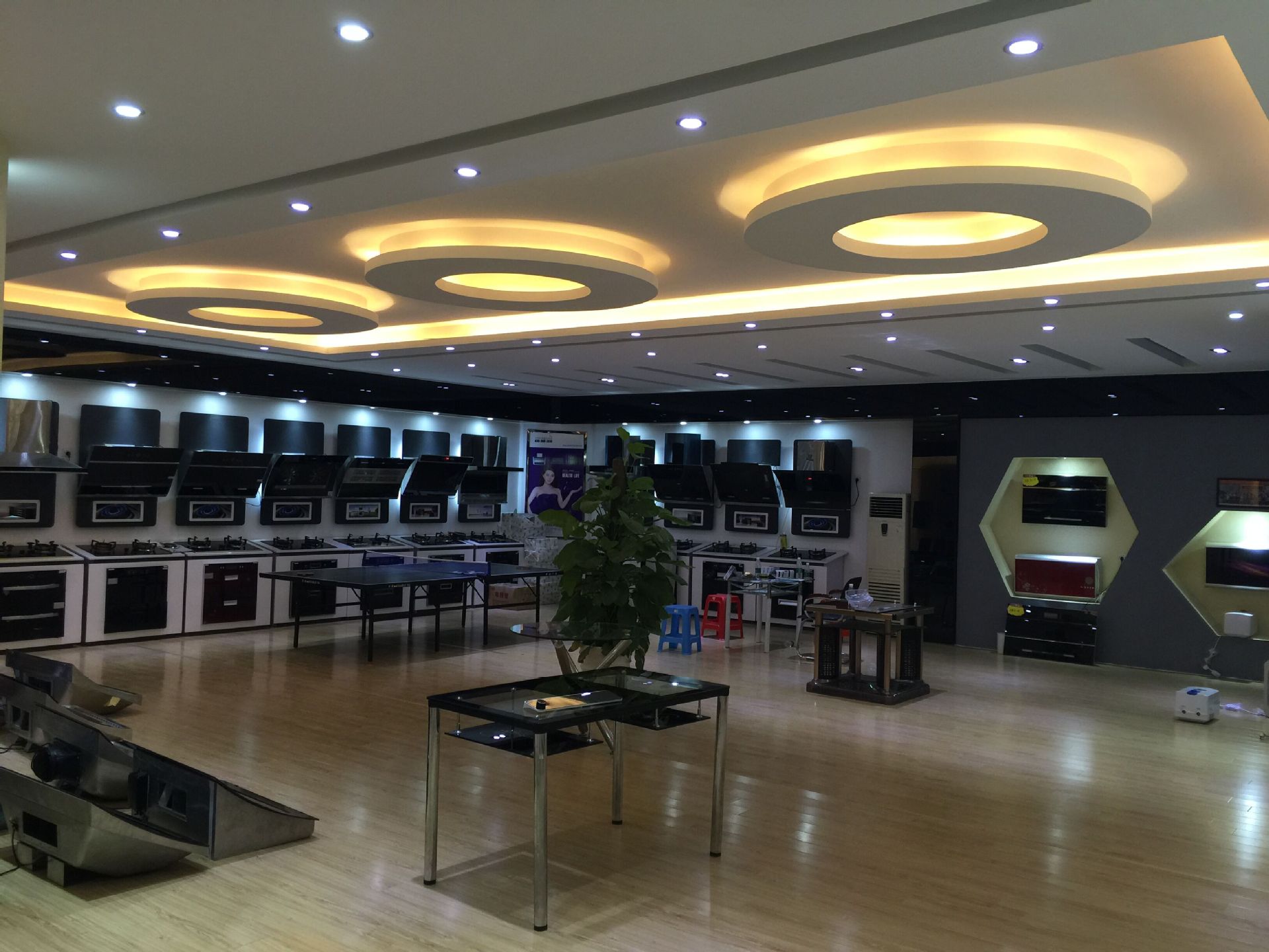 专业生产厨卫电器.