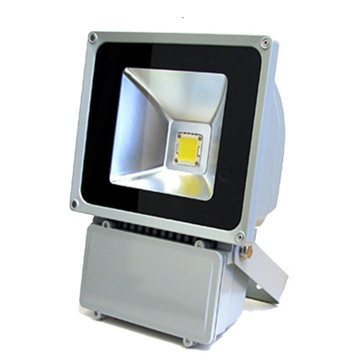 LED 100W