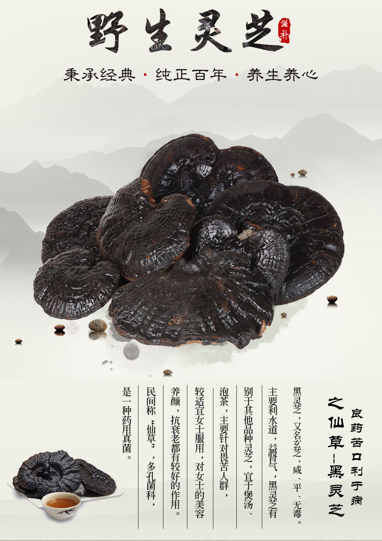 中老年养生中药材野生黑灵芝