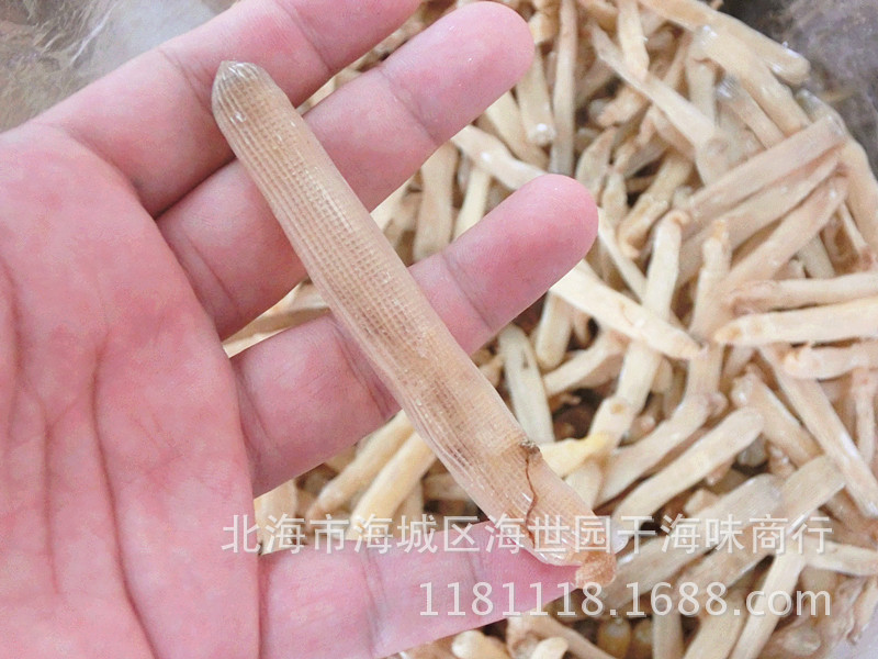 阿里巴巴批发无沙沙虫广西北海特产海产沙蚯蚓天然味精海鲜