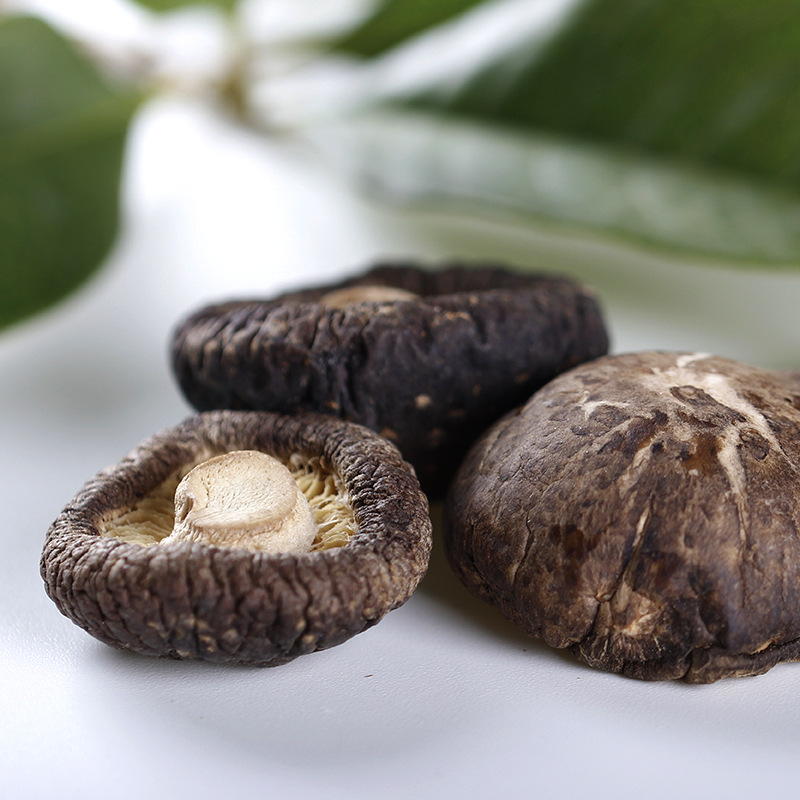 【蜀辣香】大量供应东北 湖北 天然野生干香菇特级木耳 散装500g