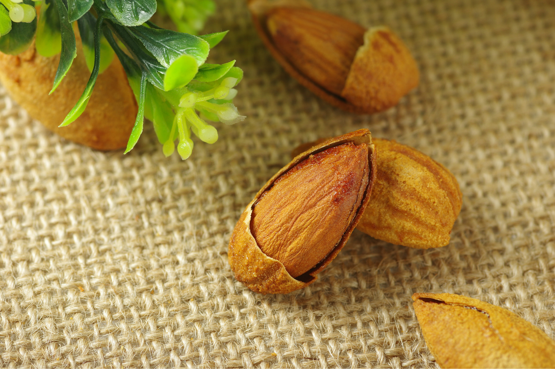 巴旦木np 优质奶香味 纯薄壳杏仁np巴旦木 250g 炒货干果