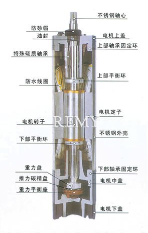 抽水泵结构图打不出来图片