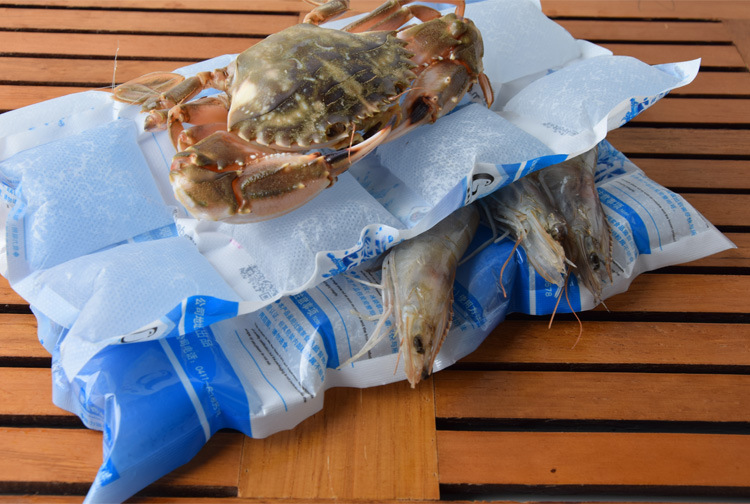 航空生物冰袋24格冰袋魔法奇冰小冰袋海鲜水果冷链运输保鲜冰.