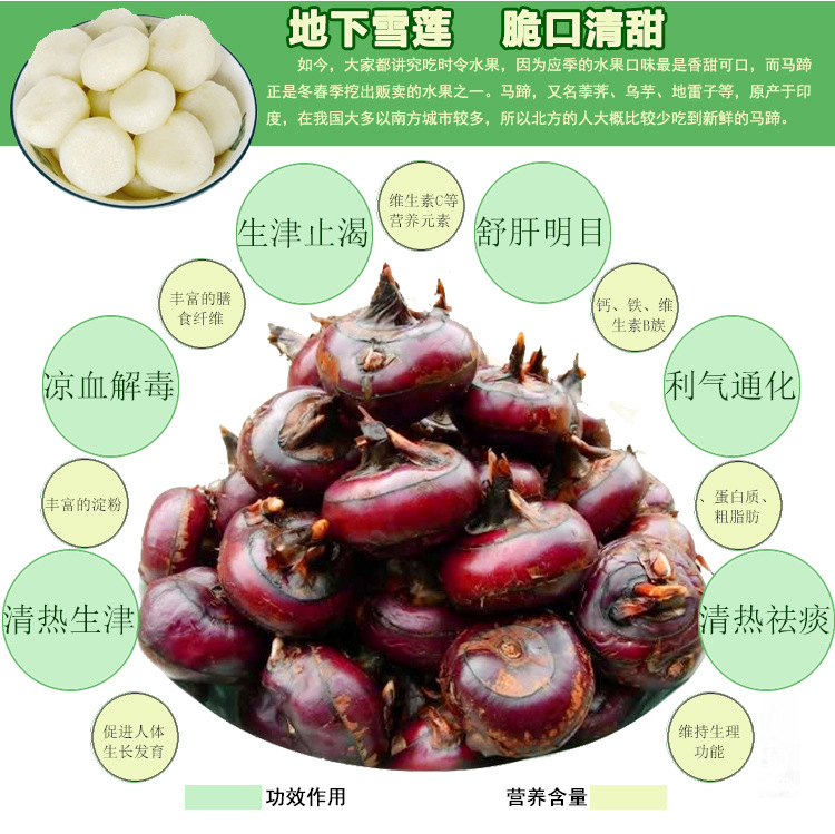 新鲜广西荔浦马蹄荸荠水果脆甜无渣产地直供批发零售