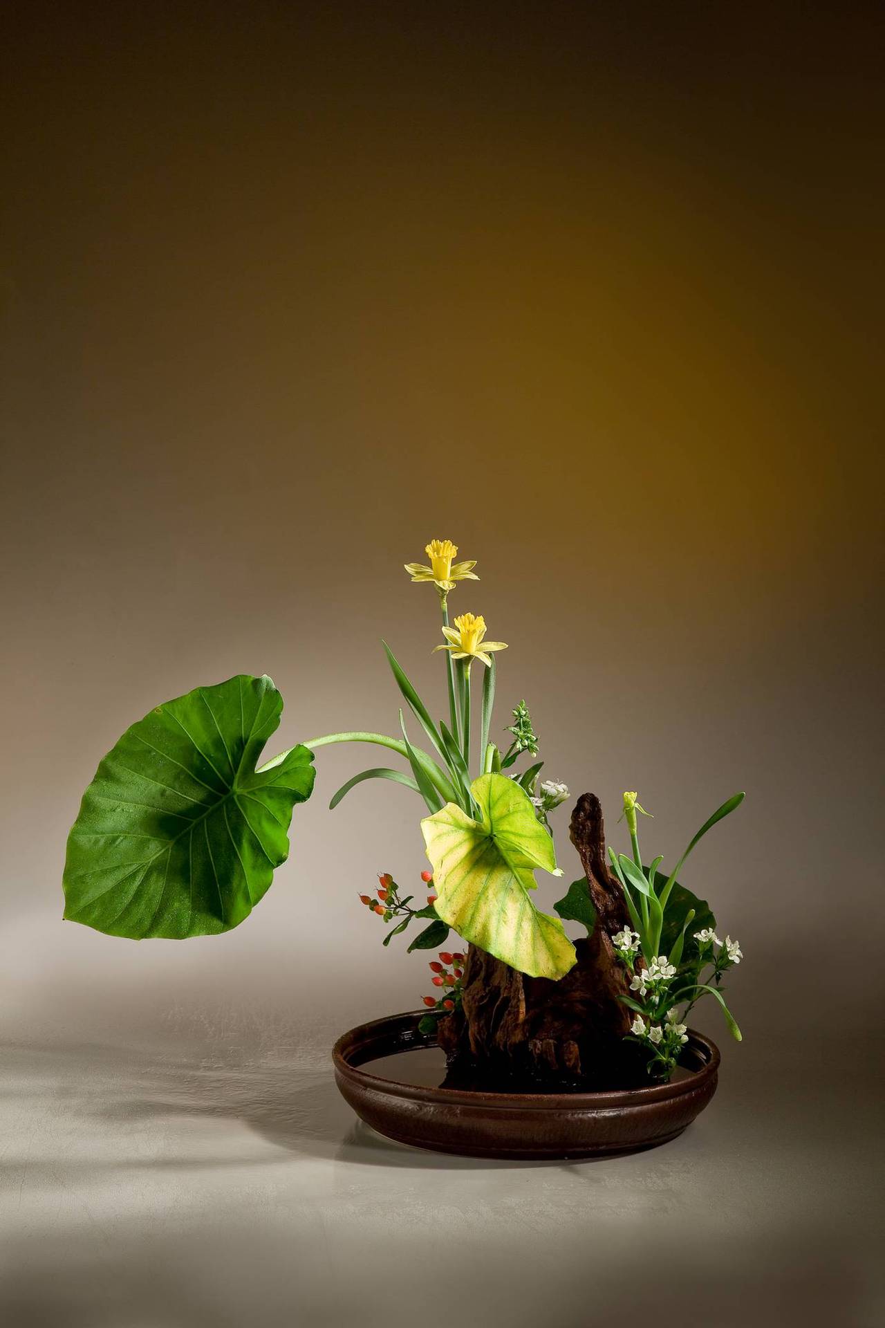 剑山 小原流插花工具 日式插花 铜针底座 花插 花枝固定 批发