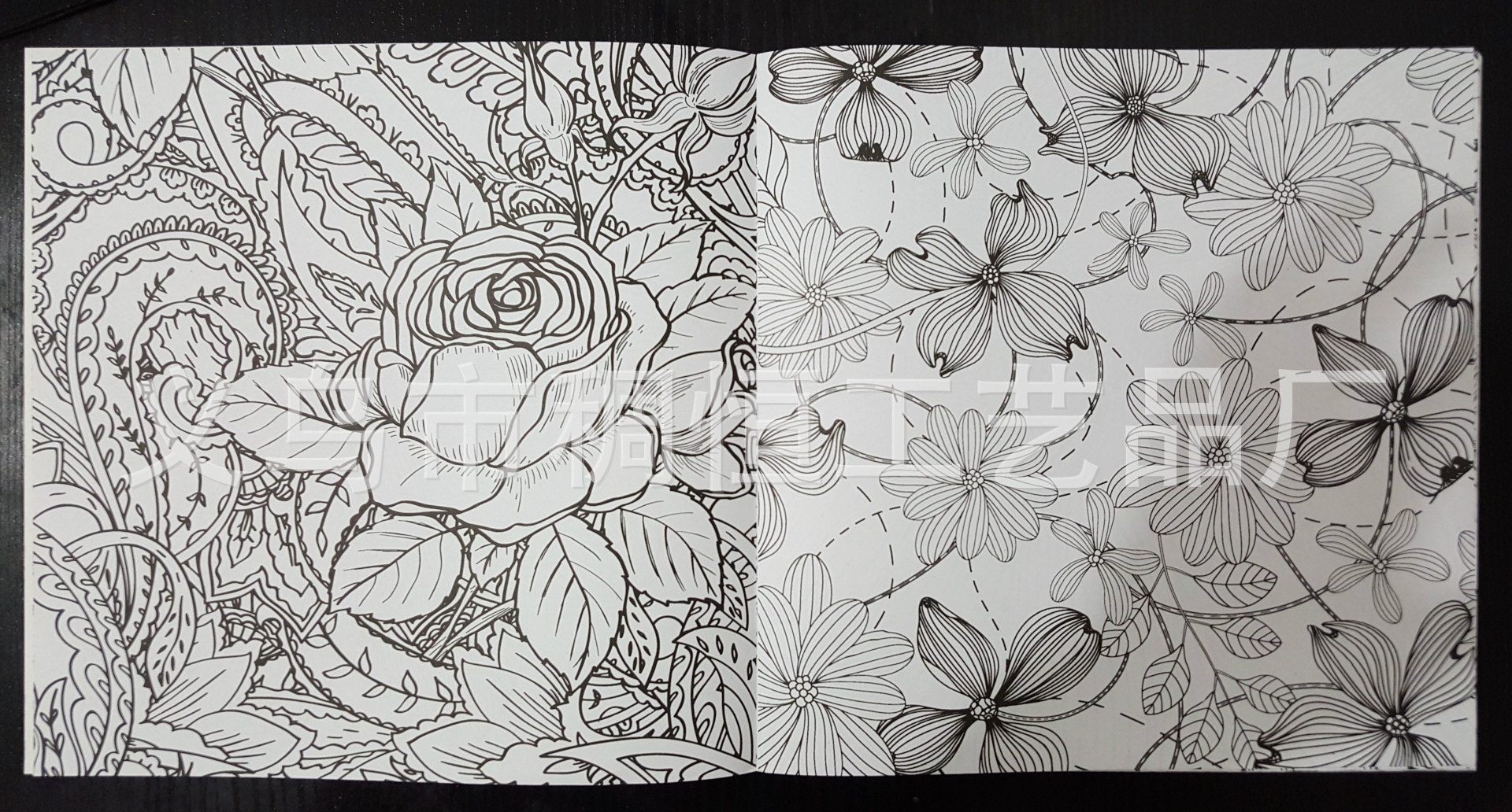 厂家直销韩国套装秘密花园涂色书籍手绘魔法森林减压涂鸦填色本