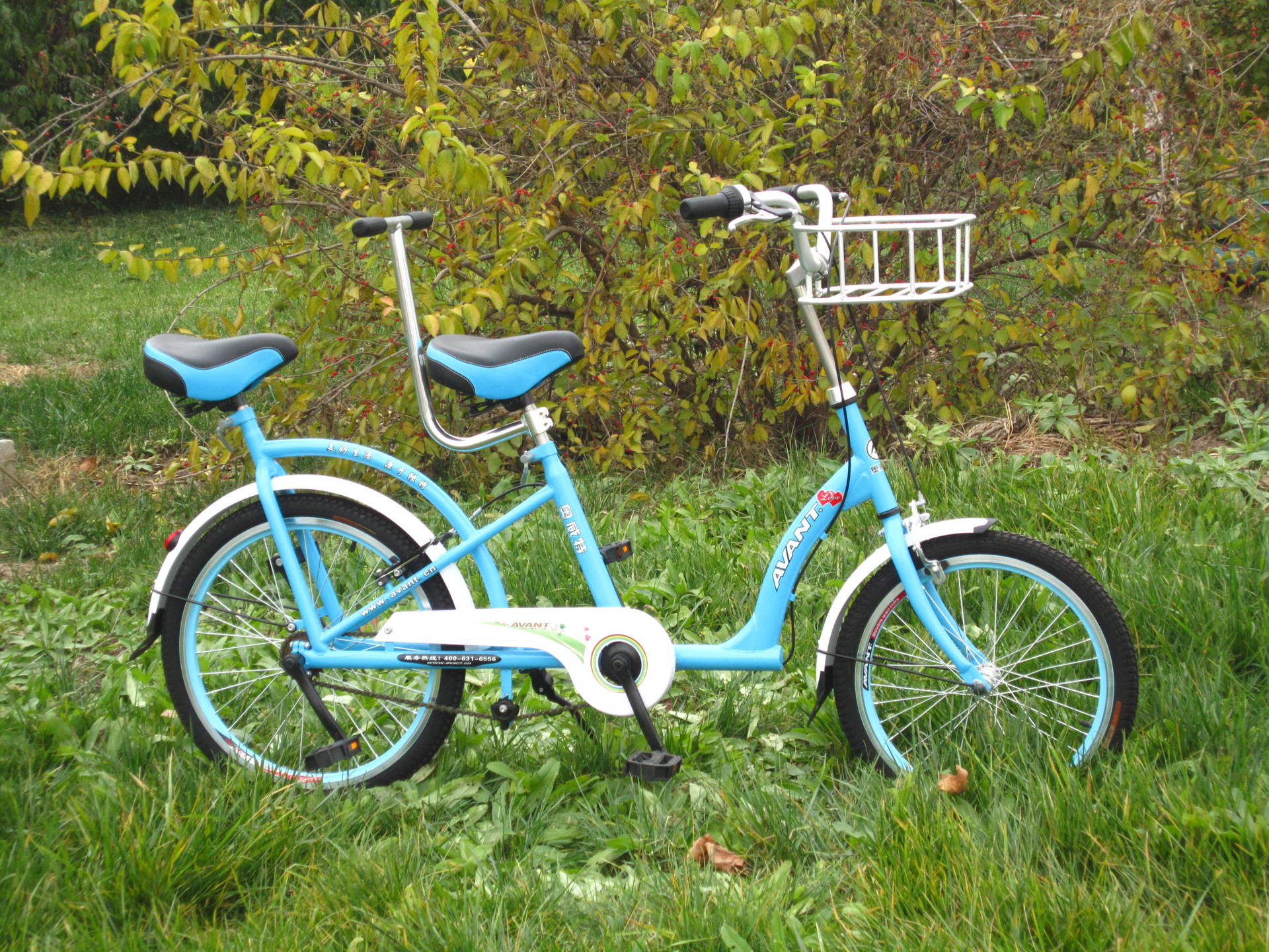 批发零售奥威特旅游观光双人脚踏车休闲自行车铝合金一体车筐