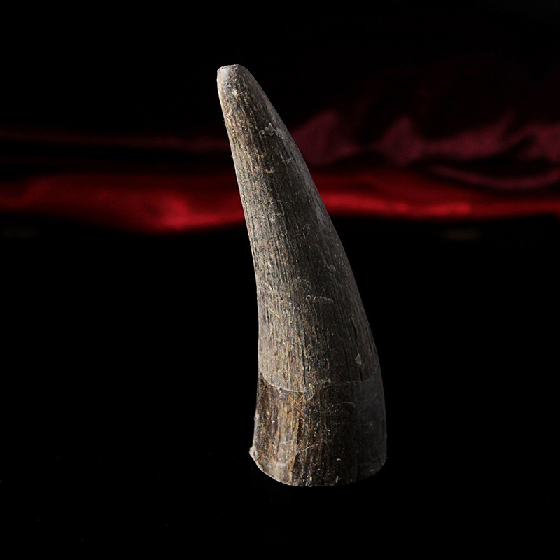 牦牛角文玩工艺原料实心牛角尖牛角料非洲牛角尖料批