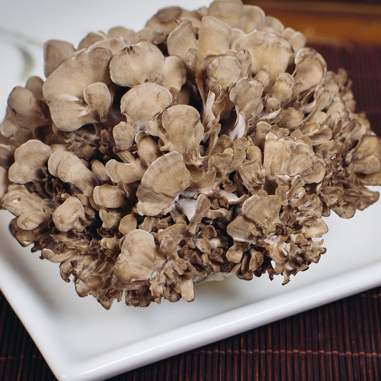 灰树花提取物 灰树花多糖50% 森冉生物 天然提取