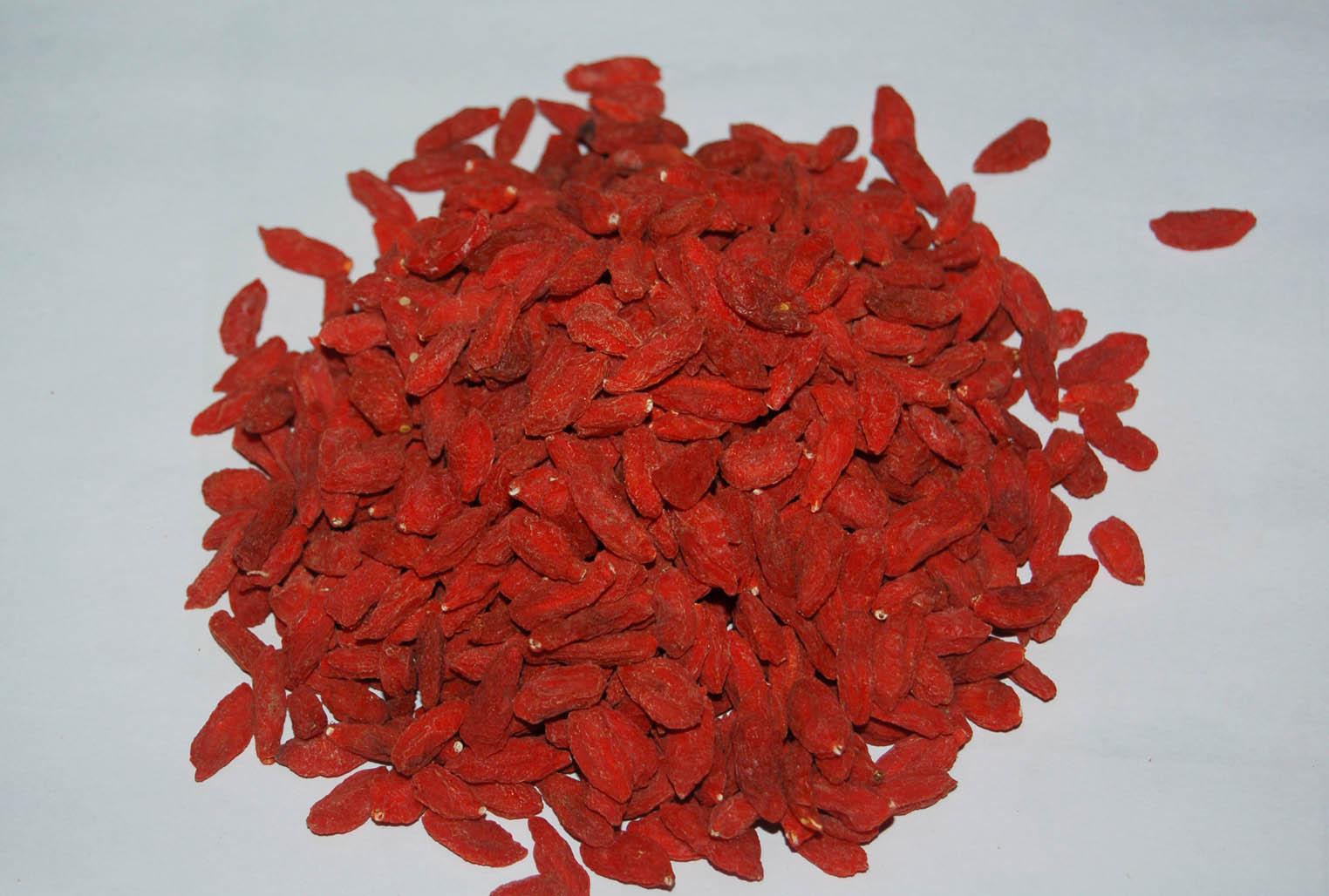 批发野生宁夏枸杞 精品滋补营养药材滋补佳品 土特产厂家直销