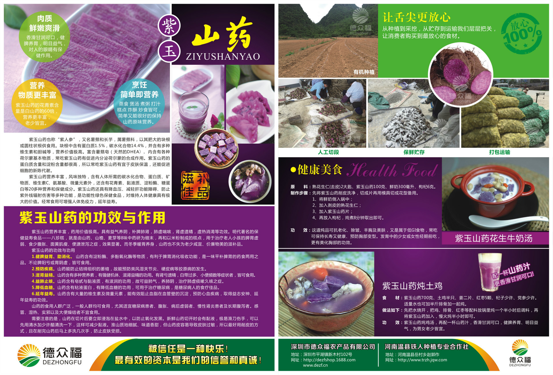 2015新鲜紫淮薯 紫山药批发 产地直供 优质补肺紫玉淮山