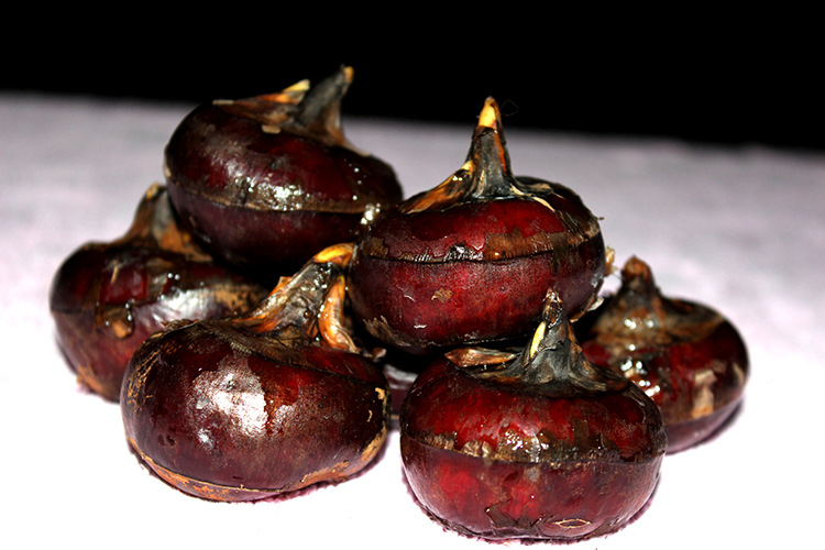 批发广西桂林荔浦马蹄批发5斤装新鲜马蹄特大马蹄包邮