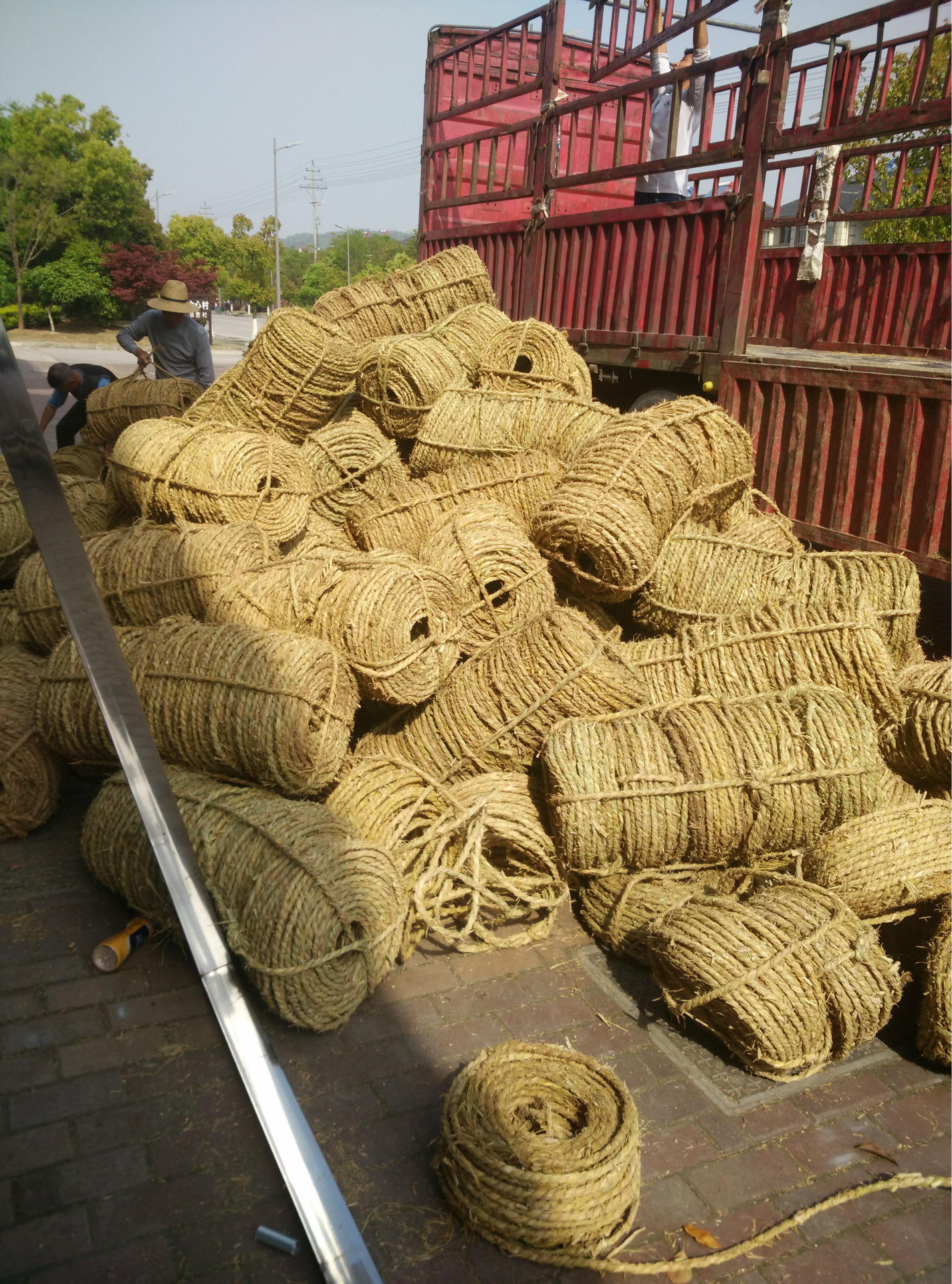 厂家直销批发草绳 稻草绳树木捆绑绳保暖绳各种规格草绳出售