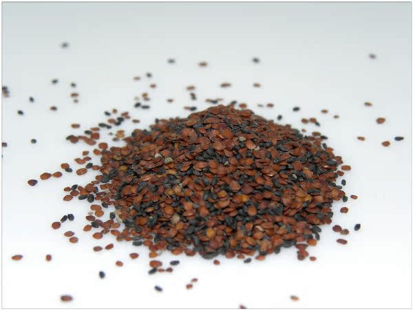 集千姿黑玫瑰籽海藻面膜 进口泰国大品海藻补水美白保湿 内24小包