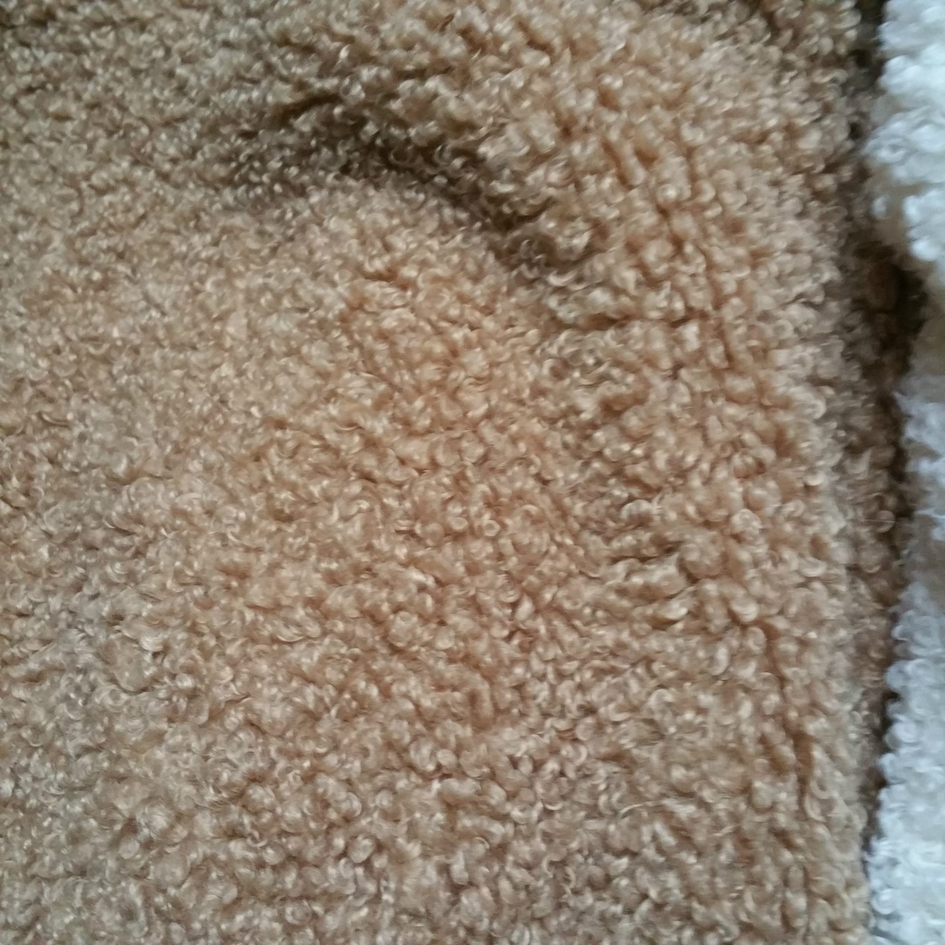 蚂蚁布 全涤绵羊绒布 700克 棕色 米白色 泰迪绒面料 - 布艺批发交易