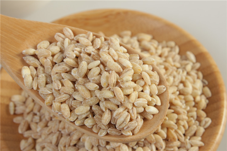 低温烘焙大麦仁熟大麦仁现磨豆浆大麦仁磨粉大麦仁五谷磨坊