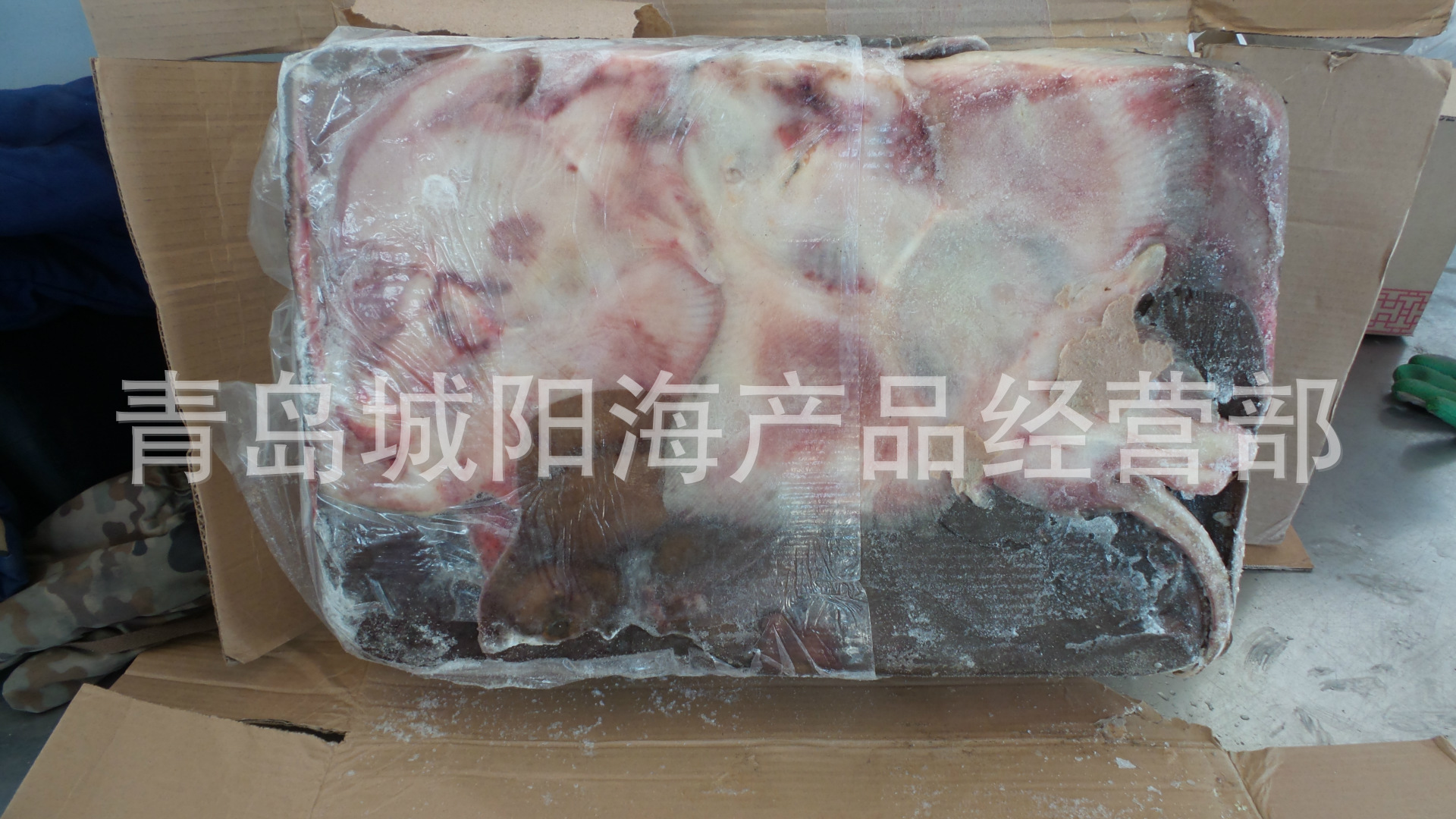 50≥100件鳐鱼水晶鳐鱼老板鱼  批发鳐鱼鲜冻鳐鱼鳍 美鳐￥160.