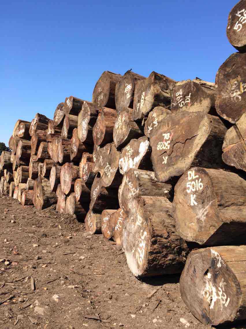 经销批发巴新进口第伦桃原木 高硬度实木木材板材 生态木板材