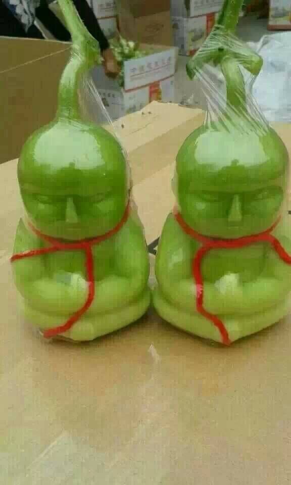 精品人参果江湖地摊新水果福娃寿娃人参果香瓜水果批发