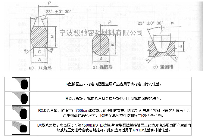 宁波骏驰密封材料公司