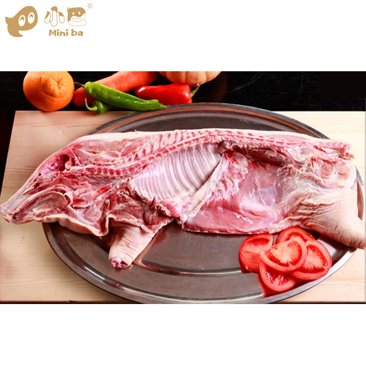 小巴 纯正有机原种巴马香猪 厂家直销 大量批发 冷冻 白条边猪