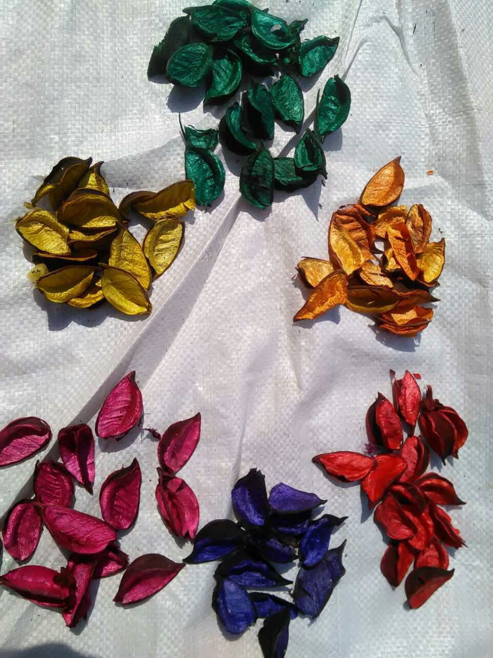 橙色棉花壳批发供应干花七色可选 可加香化妆柜台酒店装饰