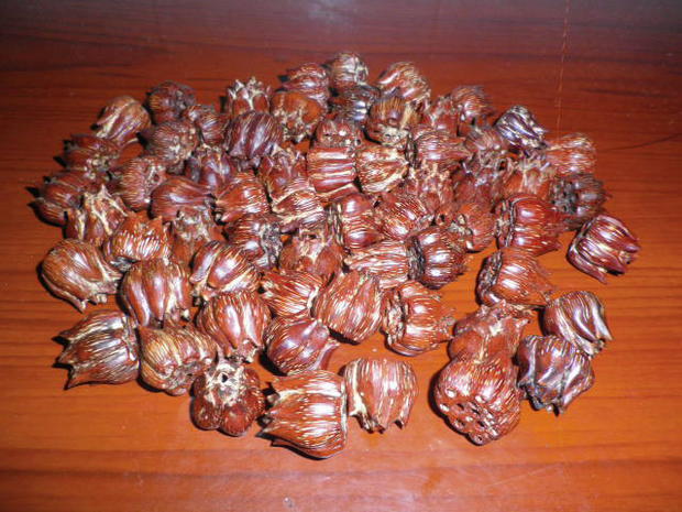 单颗成品 滴血莲花菩提尺寸 血红滴血莲花手串 星月菩提批发