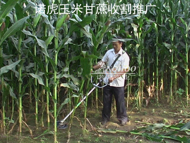 玉米收割机