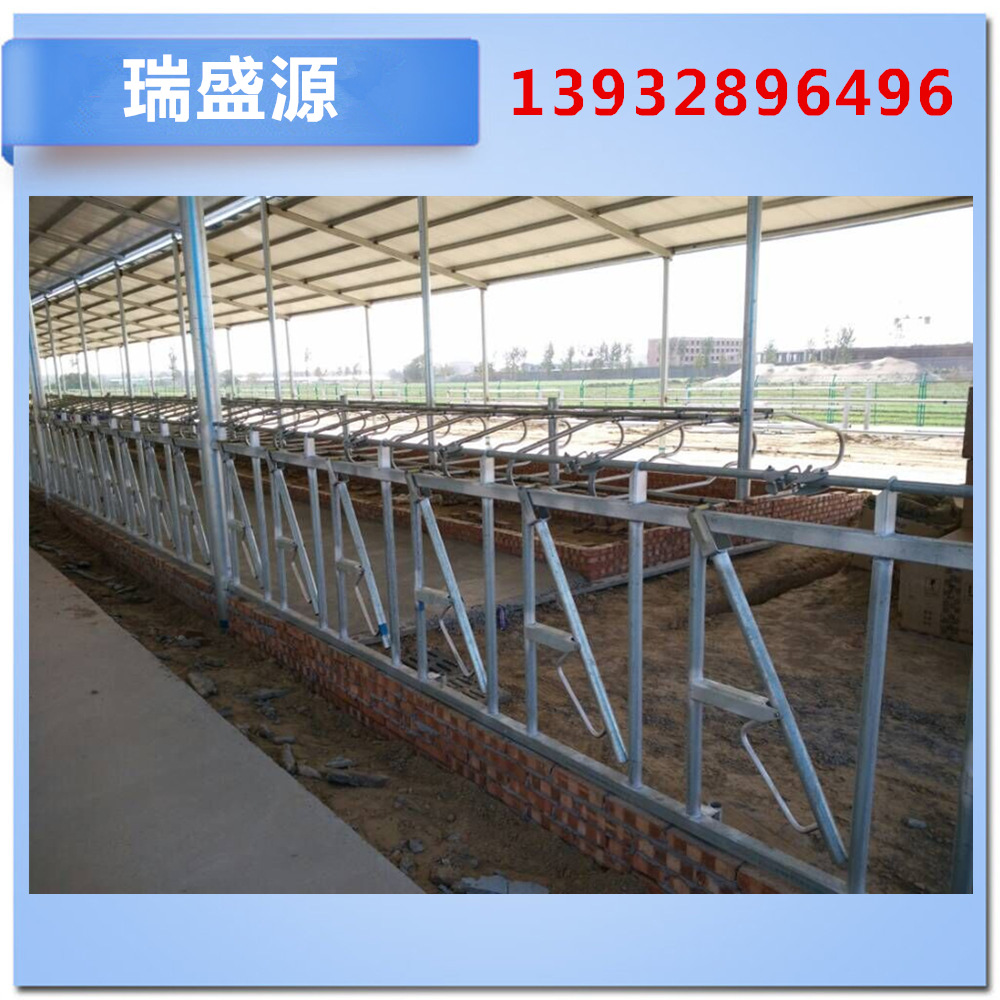 养殖设备 牛场牛颈枷 牛用定位栏8位一组 牛颈枷配件量大优惠