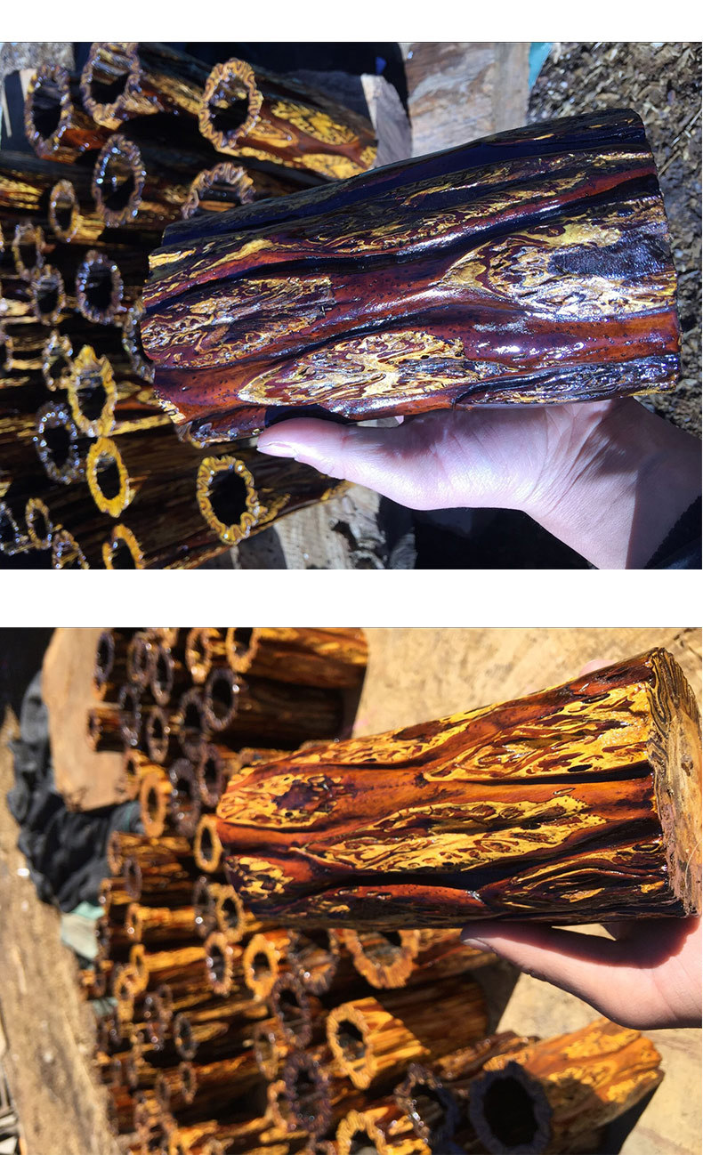 专业为木质笔筒 桫椤木笔筒办公室摆件创意办公用品