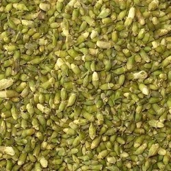 纯天然中药材槐米 槐米茶 槐花 槐树米 槐蜜茶 槐树子价格