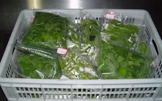 供应蔬菜真空包装机_鲜莲藕外抽真空包装机