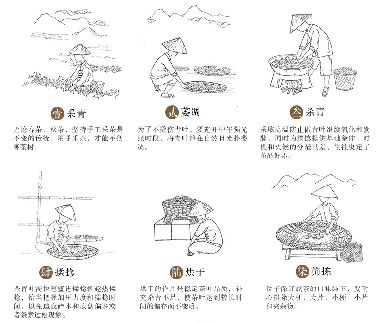6茶叶制作工艺图