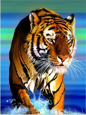 3d动感立体画 六维空间画 江湖地摊新产