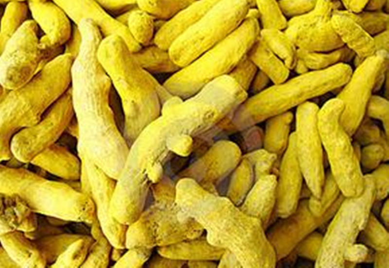 批发姜黄 正宗四川产 个22元 片28元