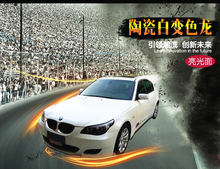 陶瓷白变色龙海报