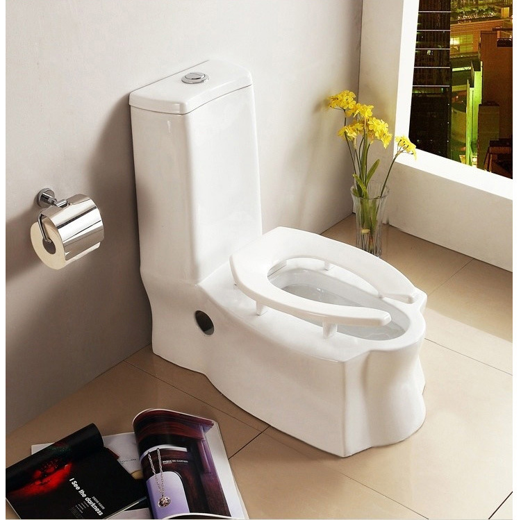 蹲坐两用马桶虹吸式老人儿童坐便器节水座便器 如图 300坑距