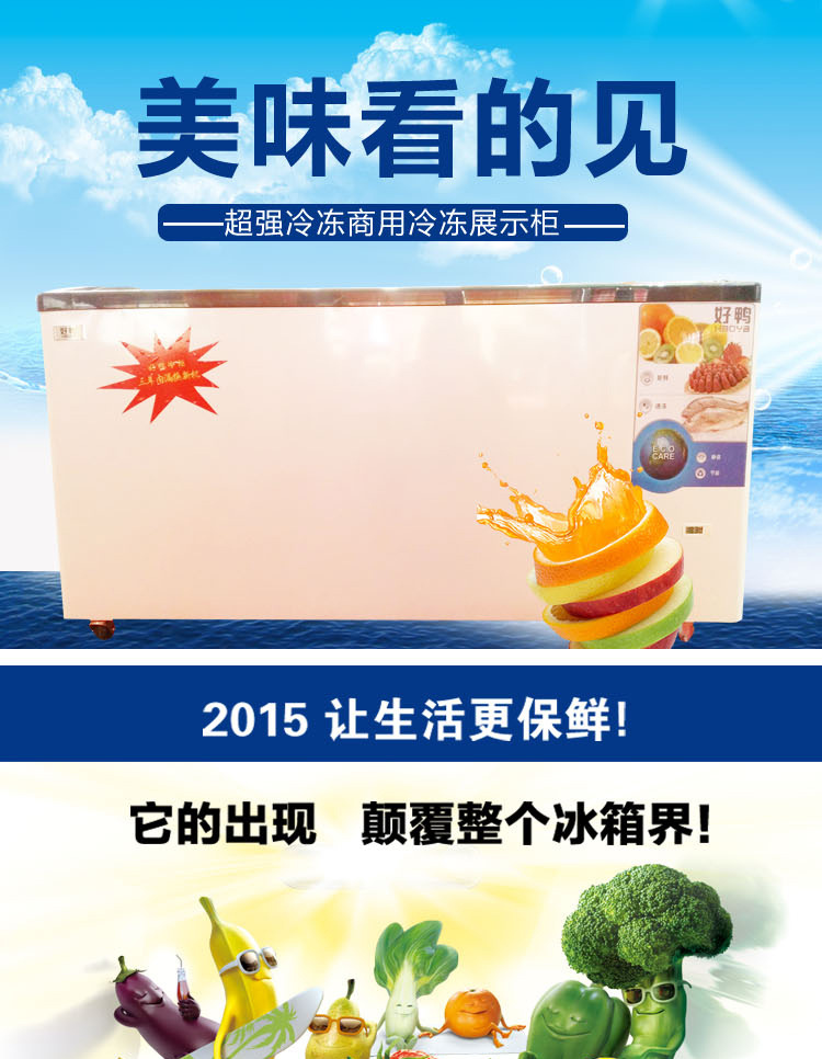 正品好鸭sd-551s升单温商用圆弧玻璃门冷藏冷冻冰柜雪糕柜冷柜