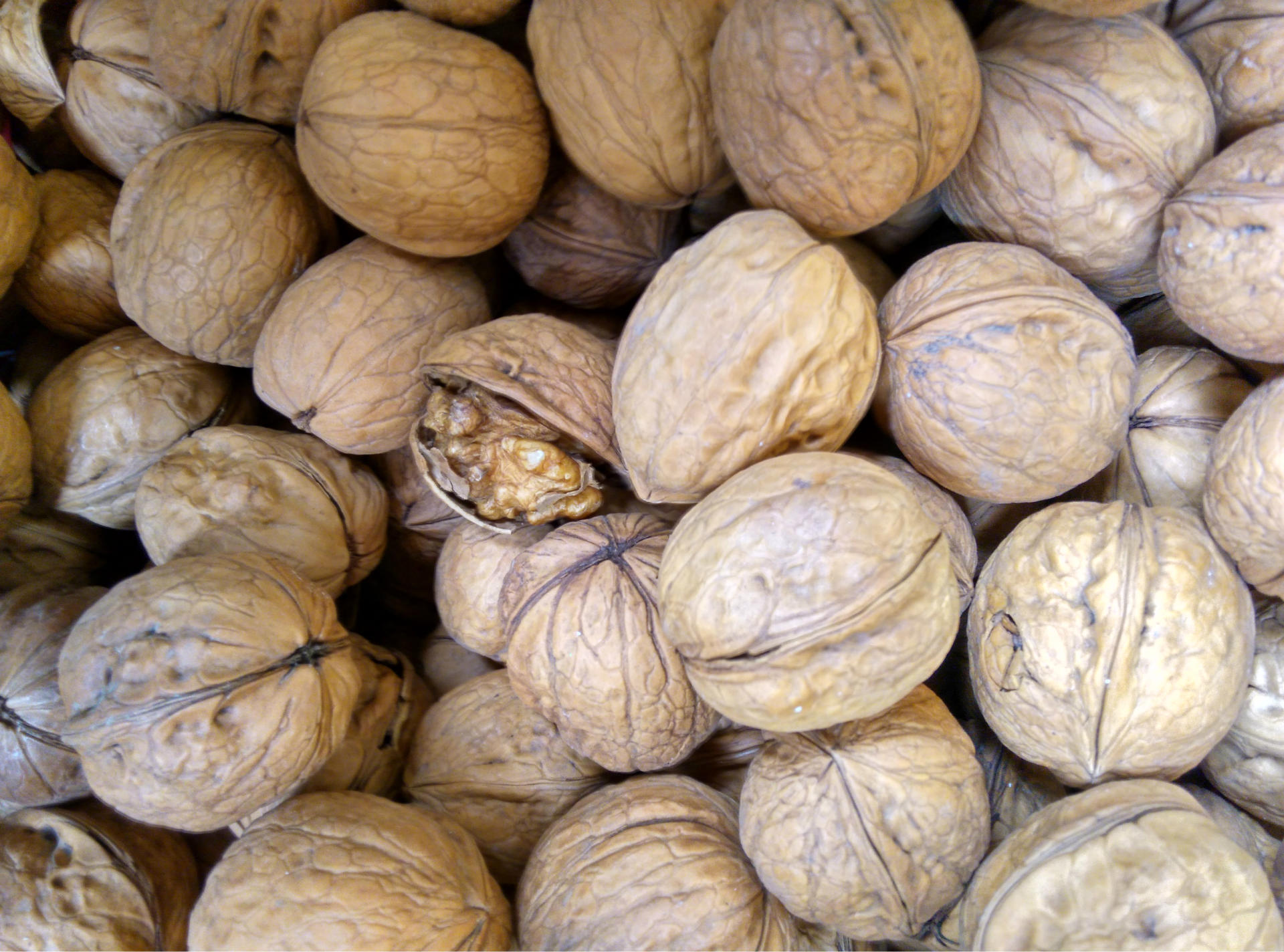 云南黑果纸皮生核桃新疆纸皮生核桃散称裸装一包5斤