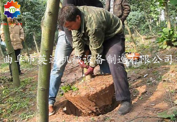 挖树机 山东 手持式苗木挖树机 效率高的苗木移植机