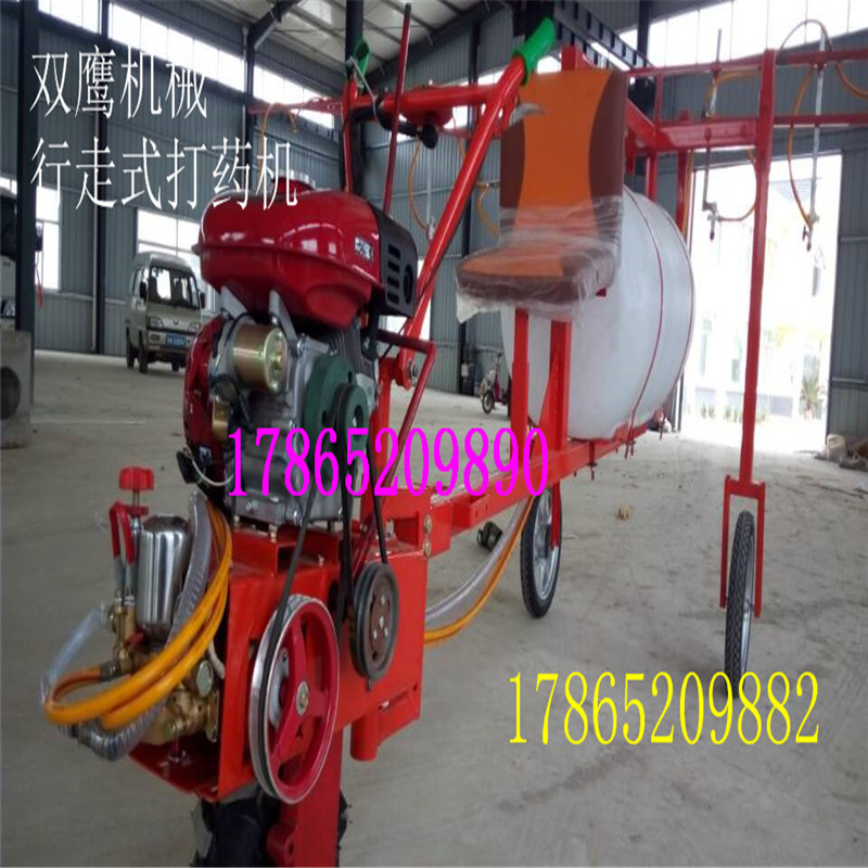 ori_2360299080