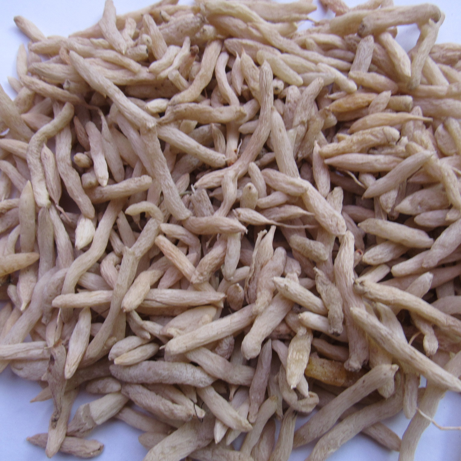 批发中药材四川麦冬特级麦冬