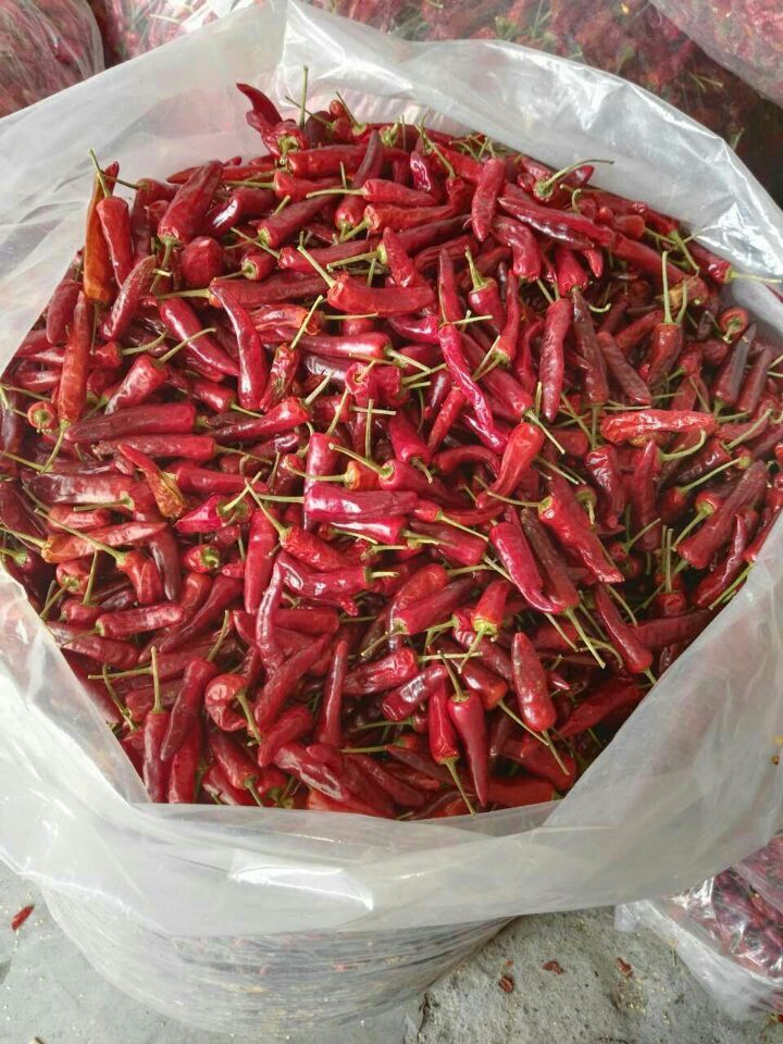 福建辣椒王批发 专供 干辣椒 越煮香越辣