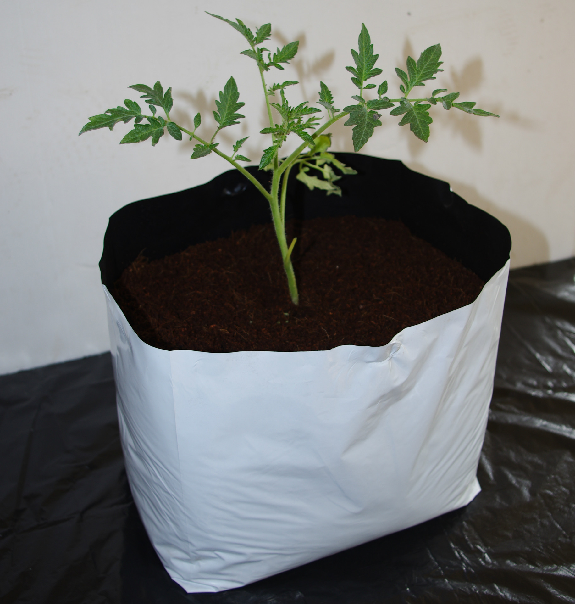 蔬菜种植花卉绿植无土栽培种植袋